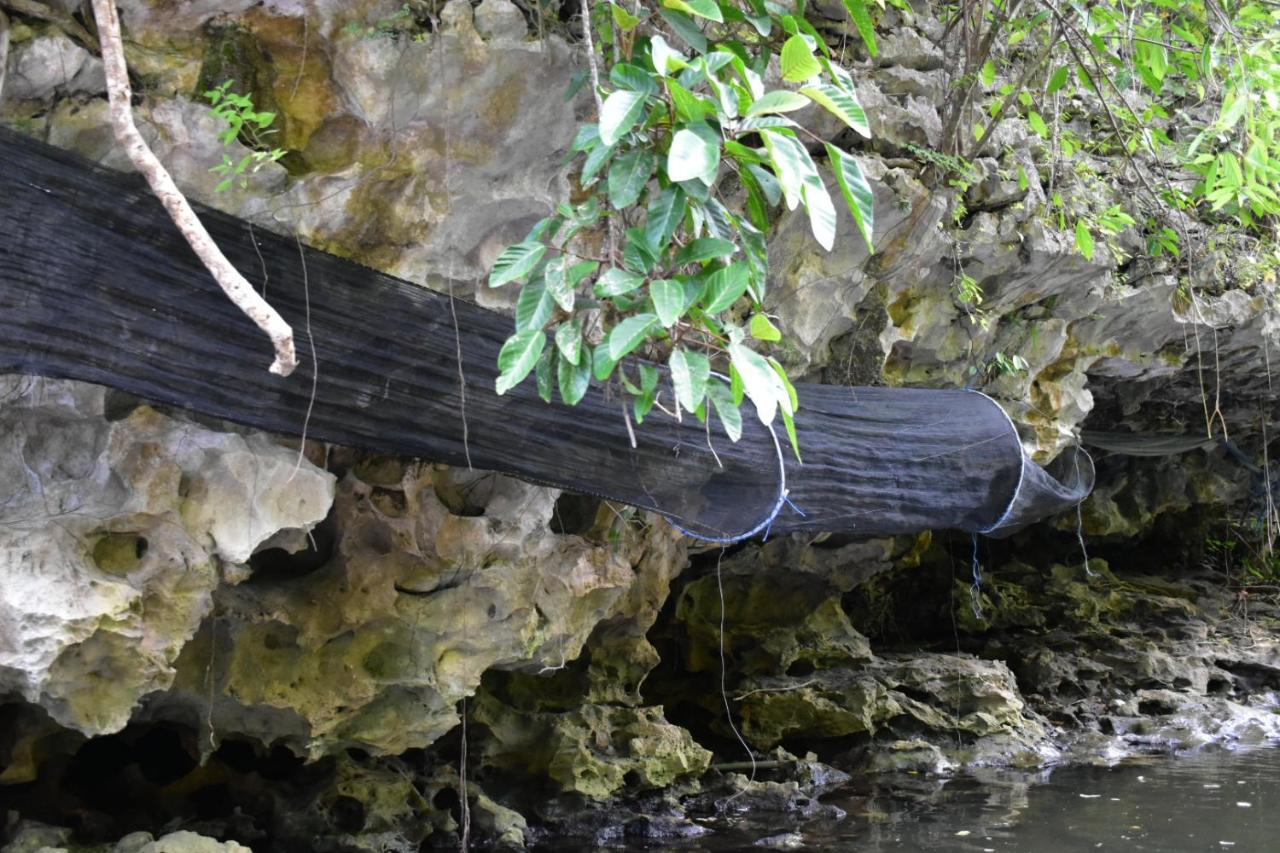 Kampoeng Karst Rammang Rammang ξενώνας Kasijala Εξωτερικό φωτογραφία