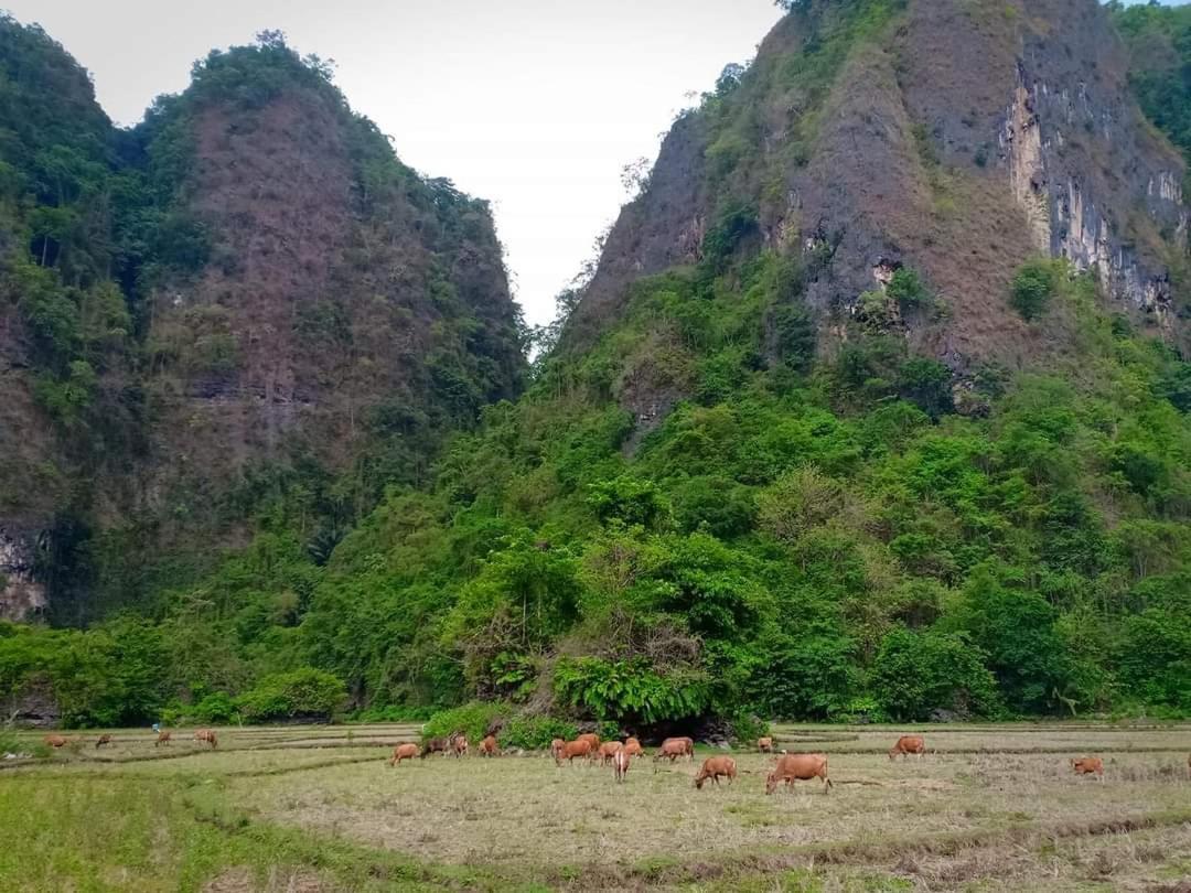 Kampoeng Karst Rammang Rammang ξενώνας Kasijala Εξωτερικό φωτογραφία