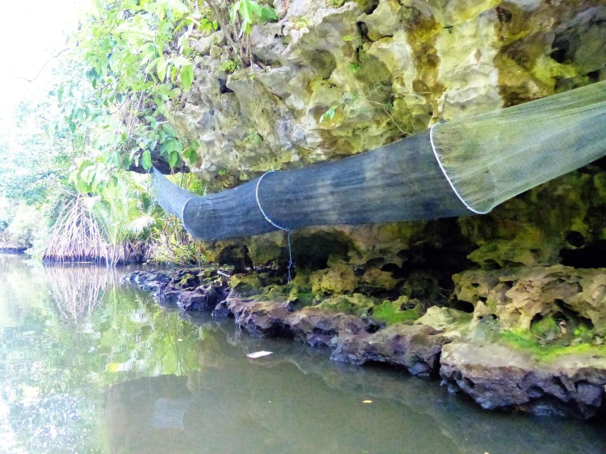Kampoeng Karst Rammang Rammang ξενώνας Kasijala Εξωτερικό φωτογραφία