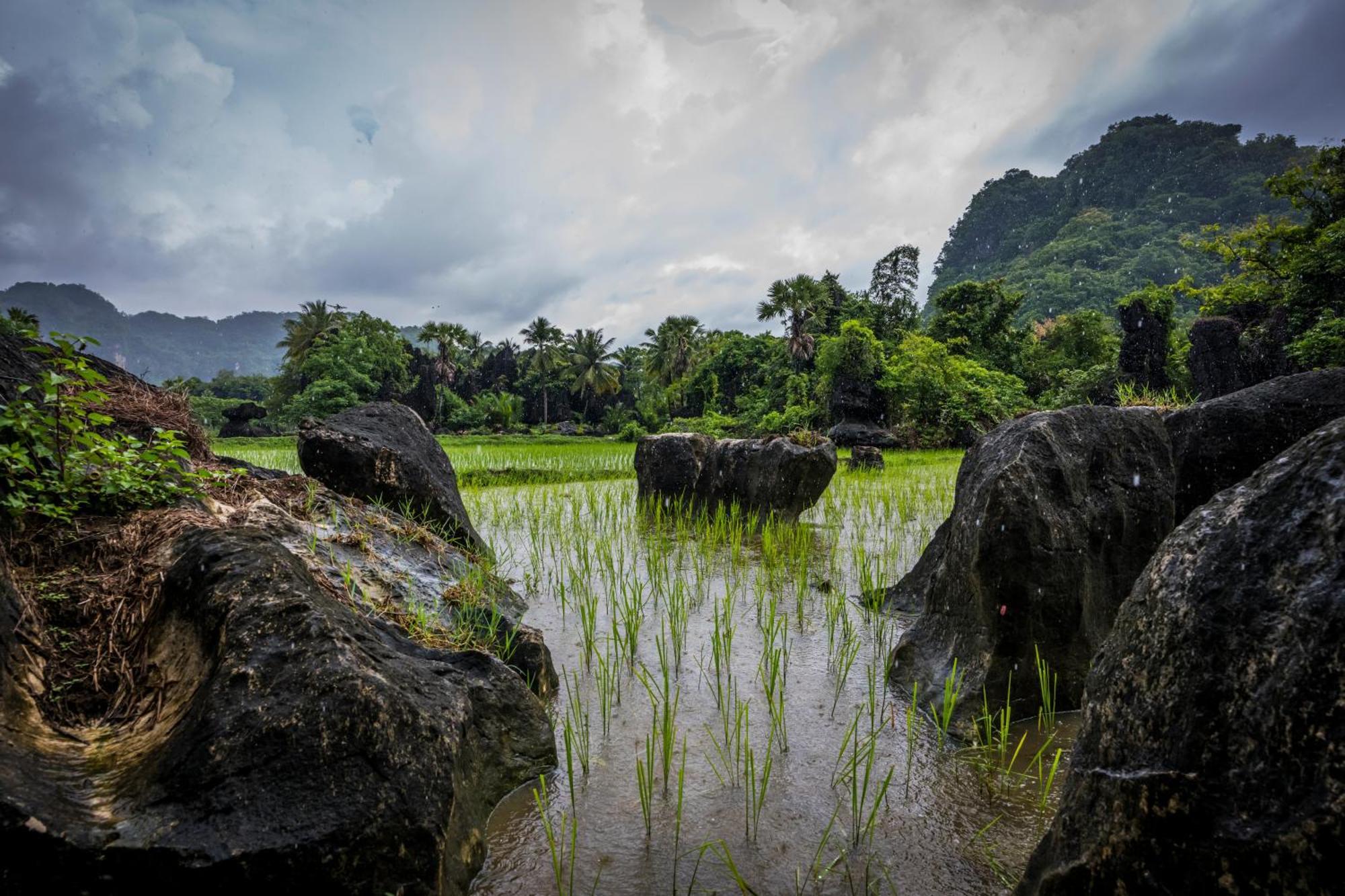 Kampoeng Karst Rammang Rammang ξενώνας Kasijala Εξωτερικό φωτογραφία
