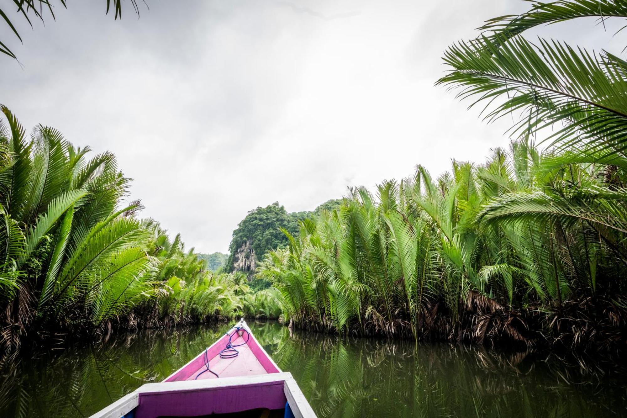 Kampoeng Karst Rammang Rammang ξενώνας Kasijala Εξωτερικό φωτογραφία