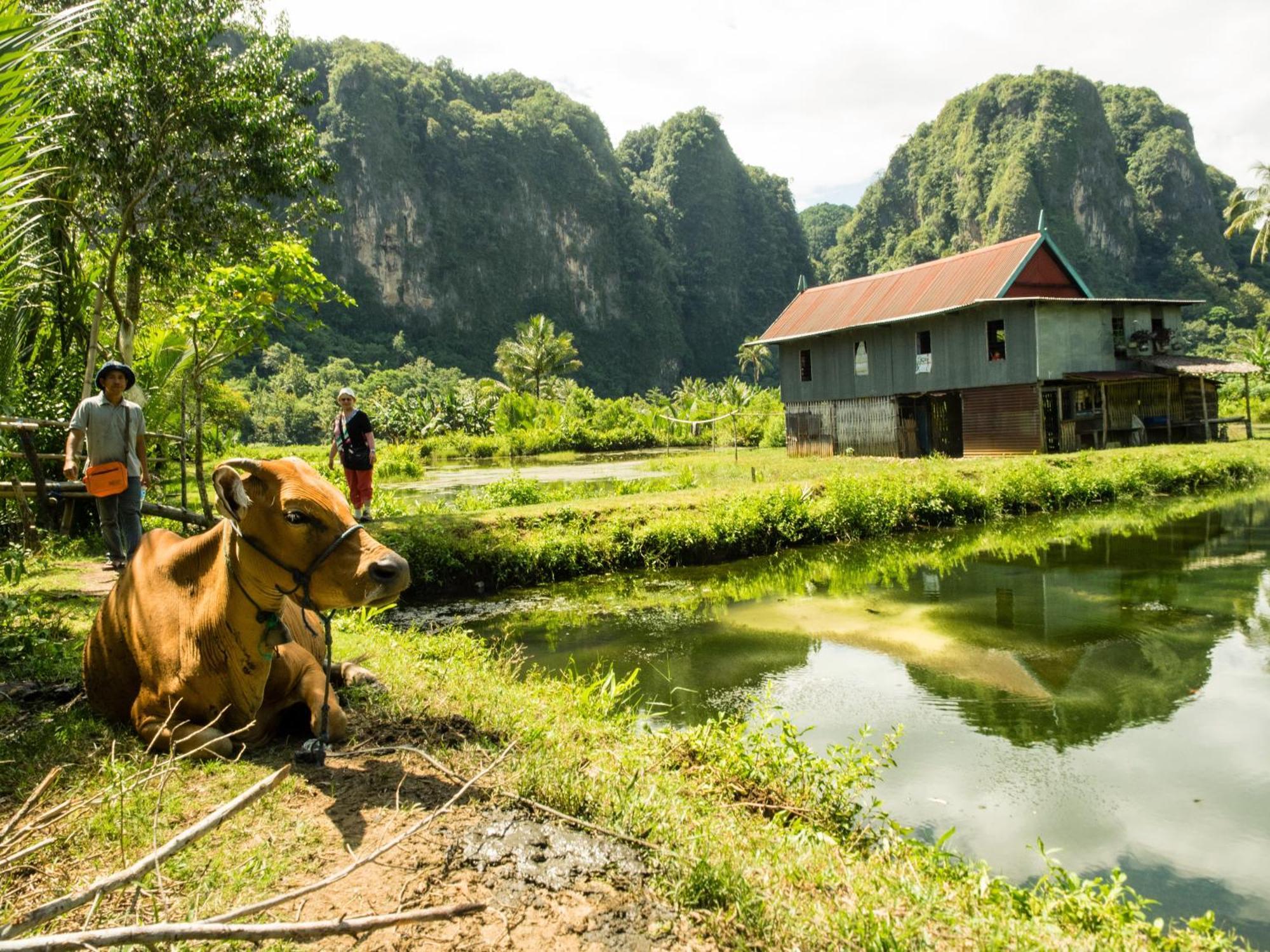Kampoeng Karst Rammang Rammang ξενώνας Kasijala Εξωτερικό φωτογραφία